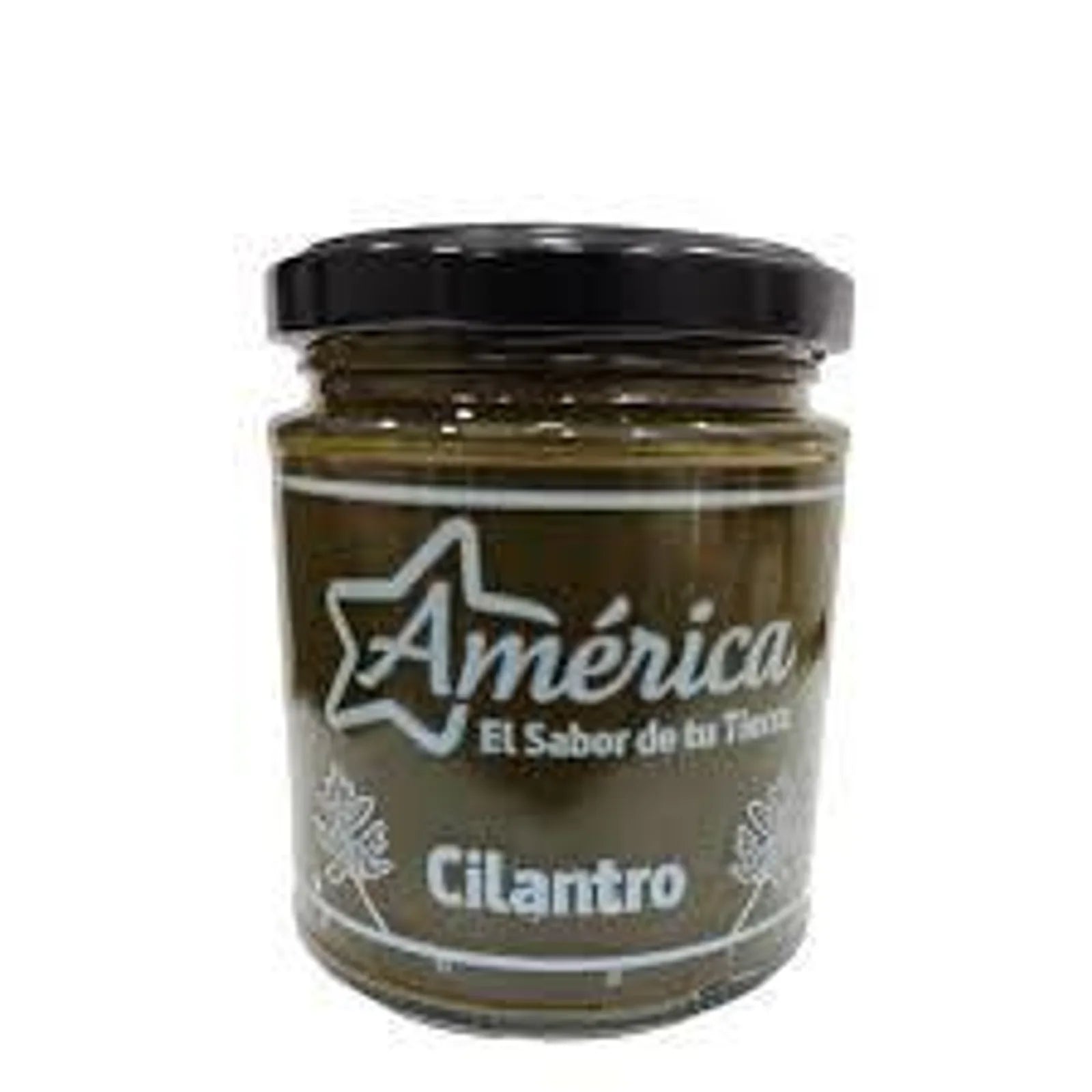 Pasta de Cilantro AMÉRICA 212 g - Latineo Imagen principal del producto